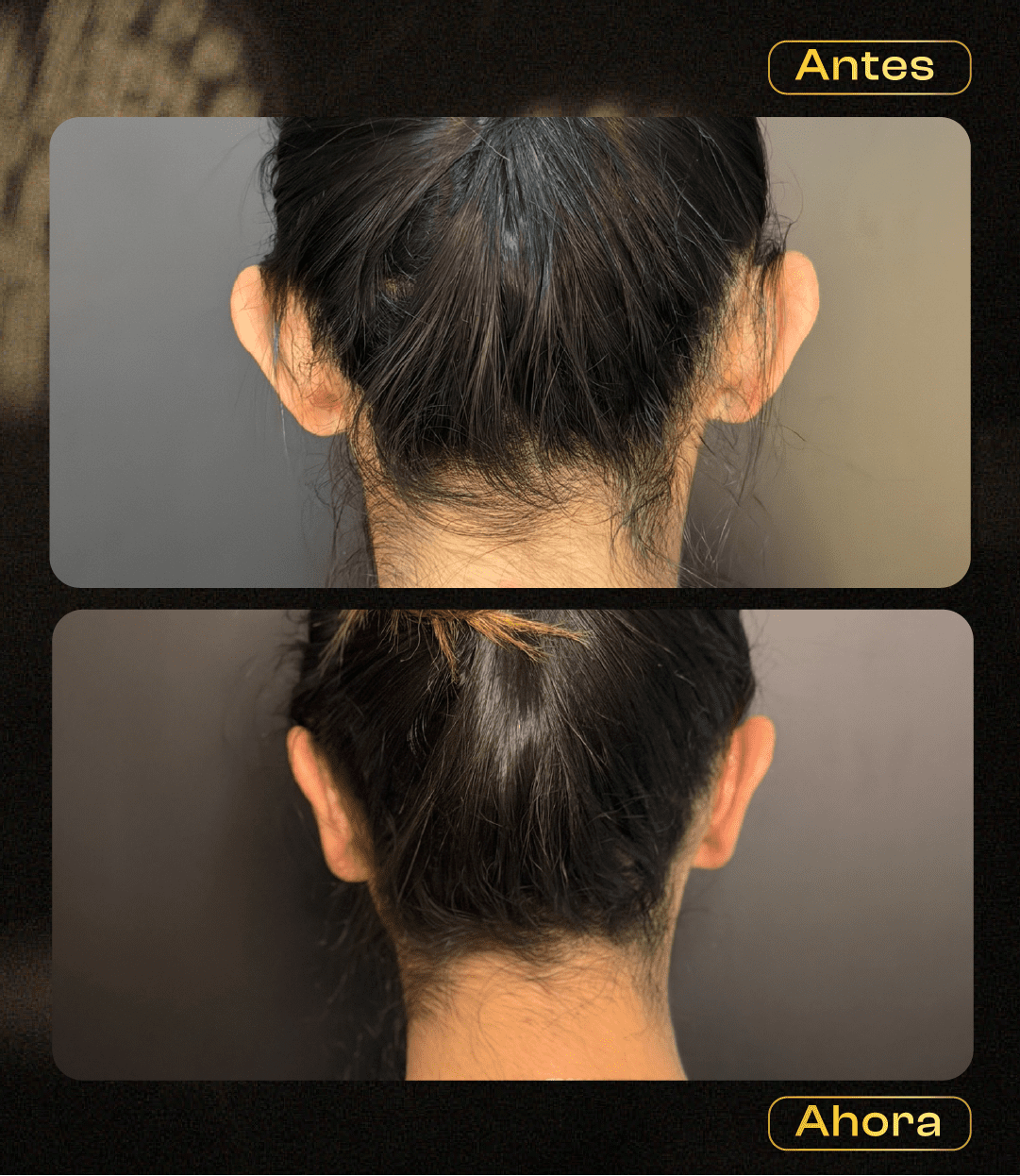 Image hover effect image